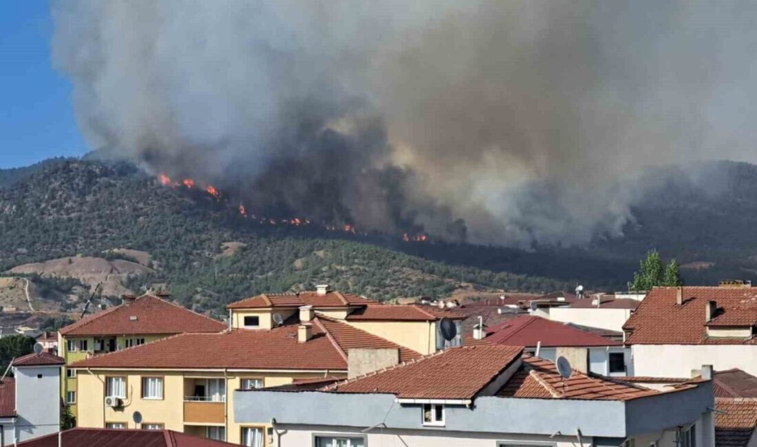 Bilecik’te bu sabah itibariyle kısmen kontrol altına alınan orman yangını