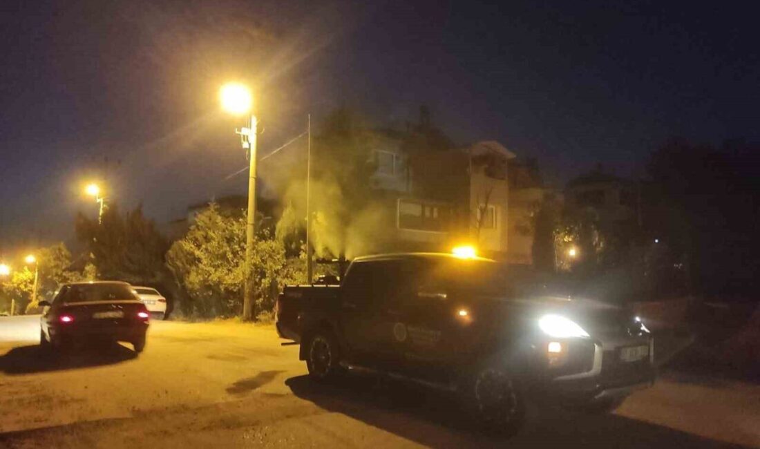 Bilecik Belediyesi, yaz aylarında artan sinek ve haşere sorununa karşı