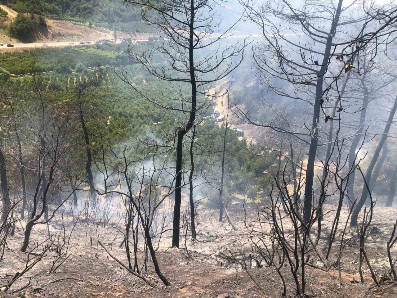 Bilecik’ in Osmaneli ile Bursa İznik ilçesi sınırında çıkan yangın
