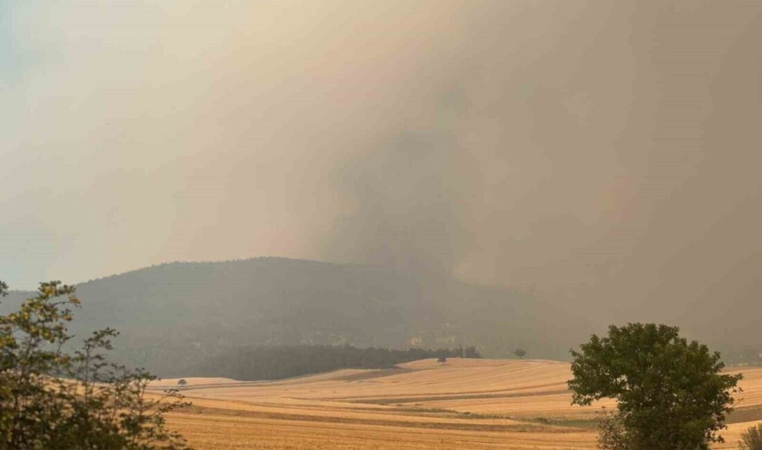 Sakarya’da çıkan ve Bilecik’e sıçrayan orman yangını kısmen kontrol altına
