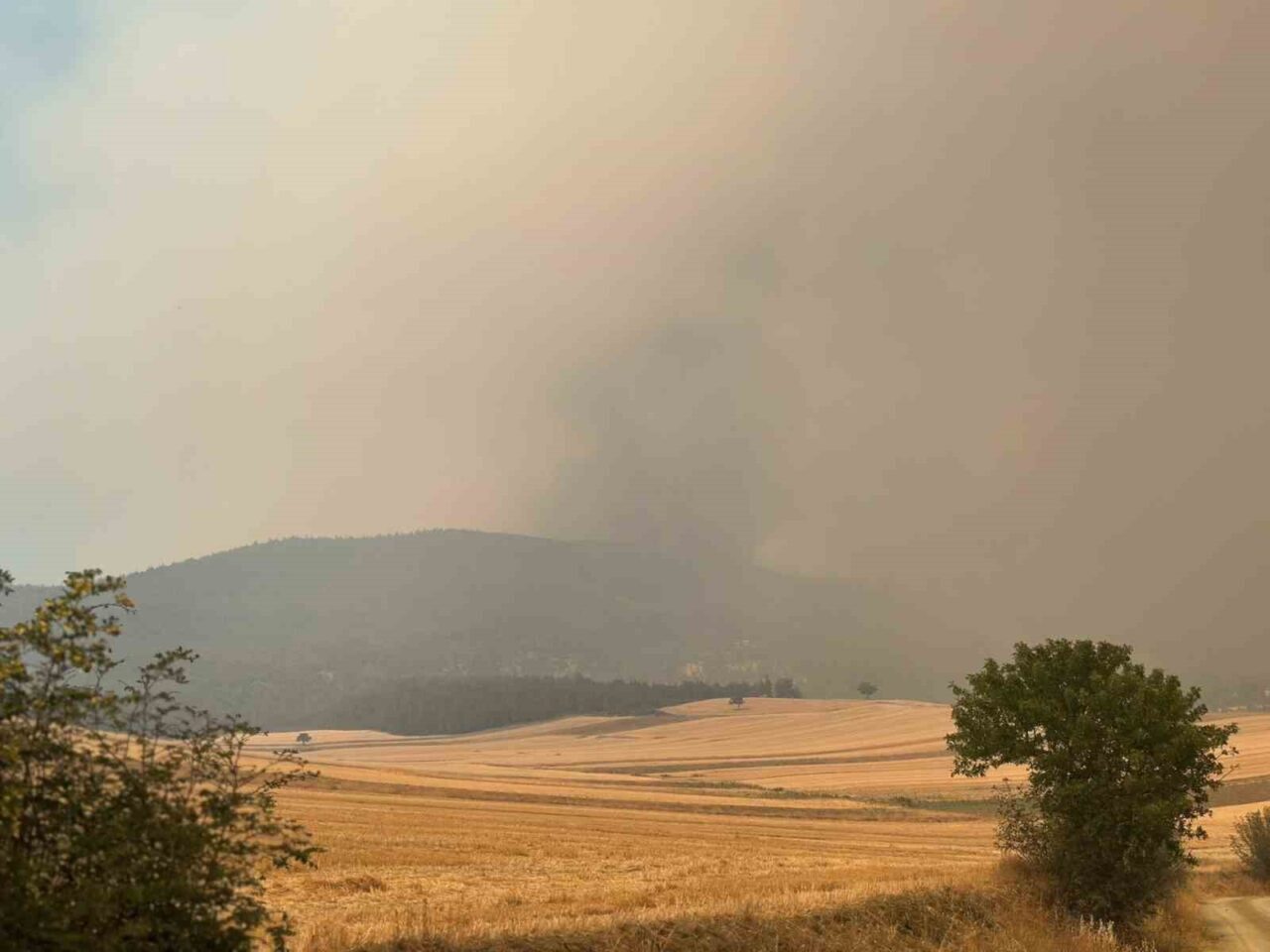 Sakarya’da çıkan ve Bilecik’e sıçrayan orman yangını kısmen kontrol altına