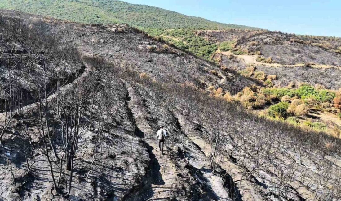 Bilecik’te geçtiğimiz ay yaşanan orman yangını sonrası bir köy ve