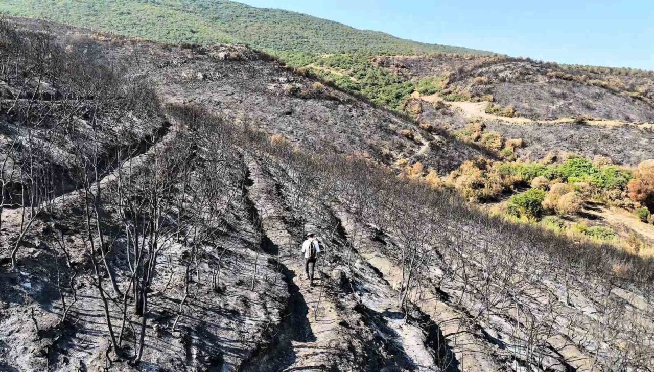 Bilecik’te geçtiğimiz ay yaşanan orman yangını sonrası bir köy ve