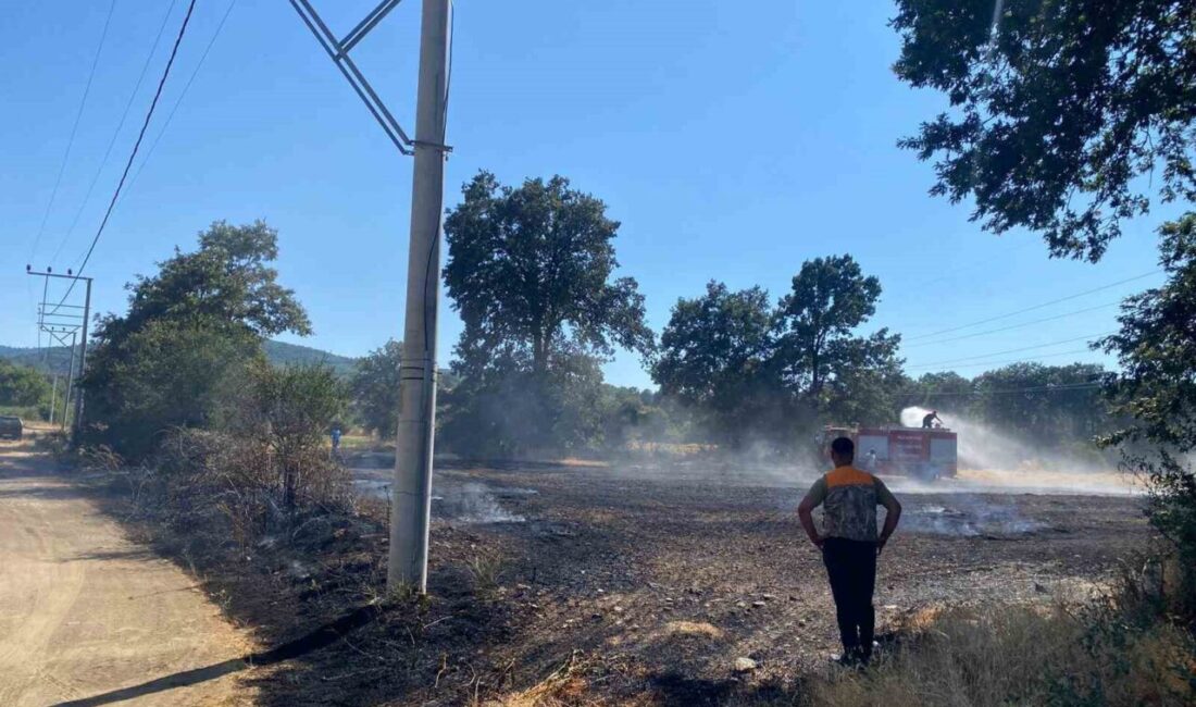 Bilecik’in Pazaryeri ilçesine bağlı Demirköy-Kurtköy bölgesinde yer alan buğday tarlasında