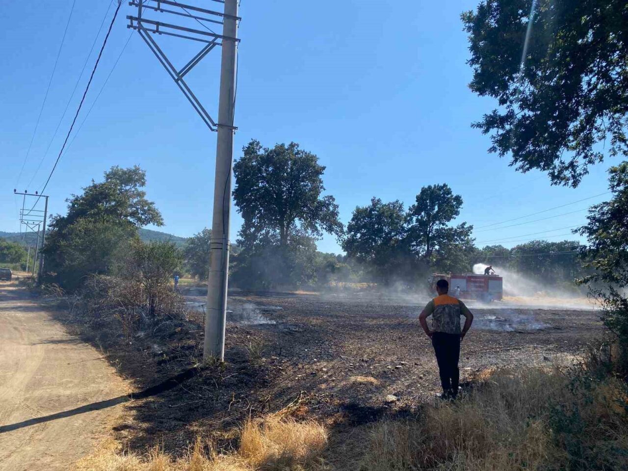 Bilecik’in Pazaryeri ilçesine bağlı Demirköy-Kurtköy bölgesinde yer alan buğday tarlasında