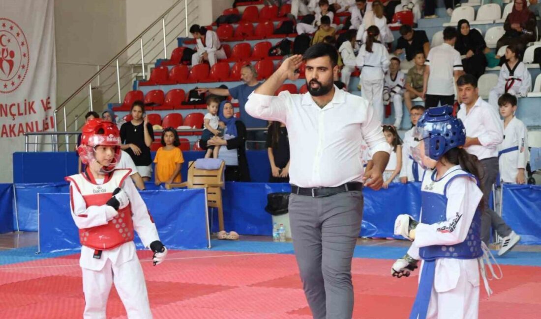 Bilecik’te Atatürk Spor Salonu’nda düzenlenen Taekwondo Minikler İl Seçmesi Müsabakaları