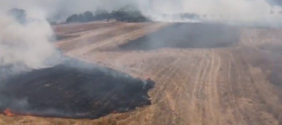 Bilecik’in Osmaneli ilçesinde bulunan buğday tarlasında çıkan yangın ekiplerin karadan