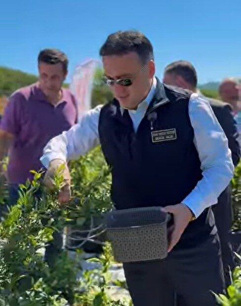 Bilecik Valisi Faik Oktay Sözer, Sarnıç Köyü’nde düzenlenen yaban mersini