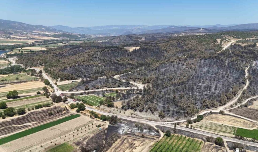 Bilecik’in Osmaneli ilçesinde 5 gündür devam eden yangın sonrasında kontrol