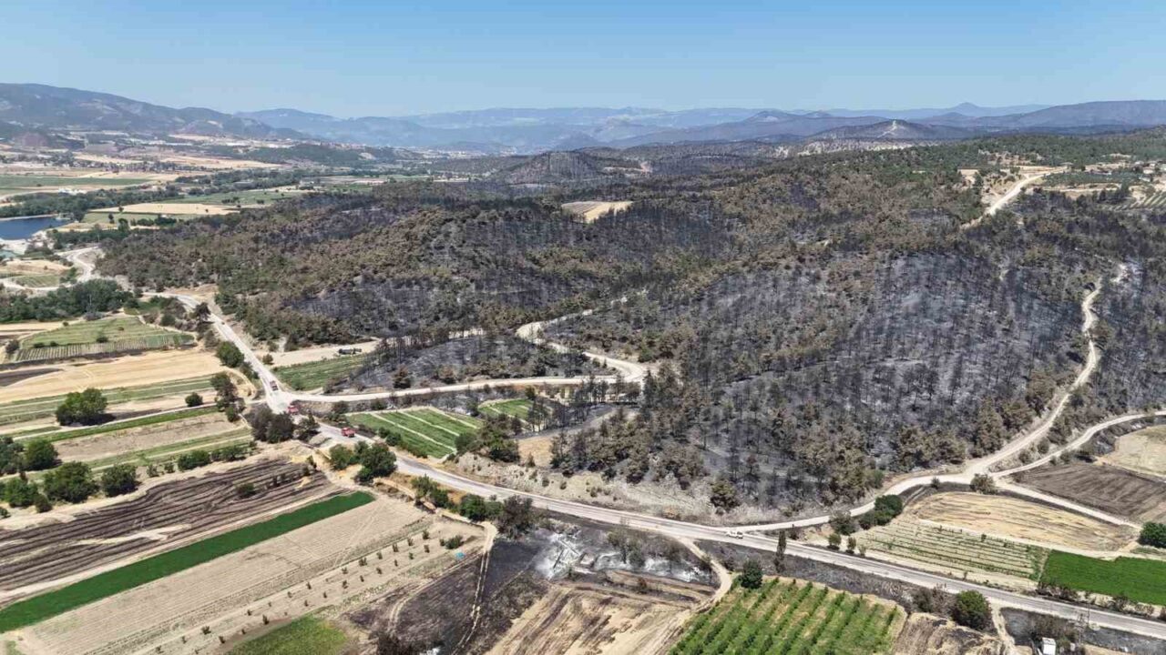 Bilecik’in Osmaneli ilçesinde 5 gündür devam eden yangın sonrasında kontrol