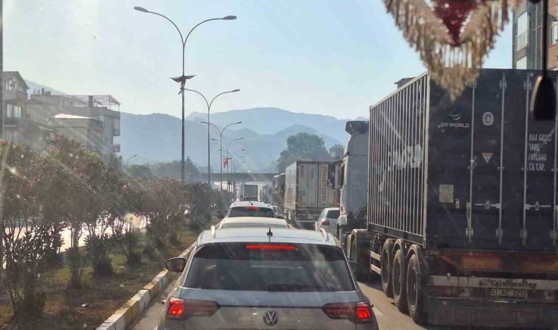 Bilecik’in Osmaneli ilçesinde 4 köyün boşaltıldığı orman yangını sonrası çevre