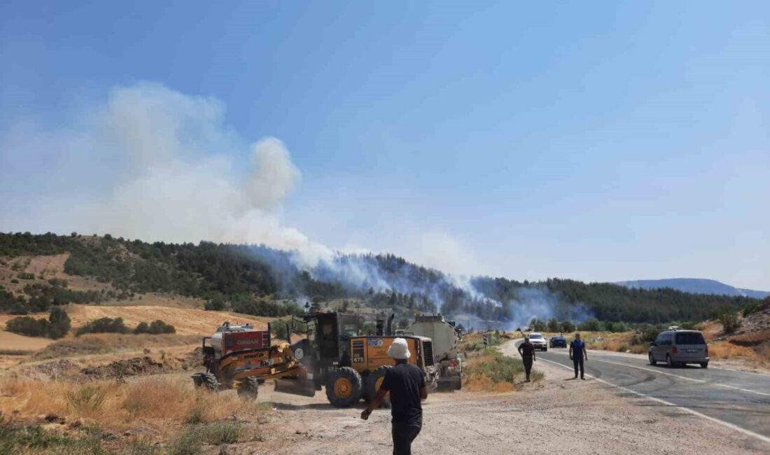 Bilecik’in Gölpazarı ilçesi yakınlarında başlayan orman yangını söndürülmeye çalışılıyor. Gölpazarı