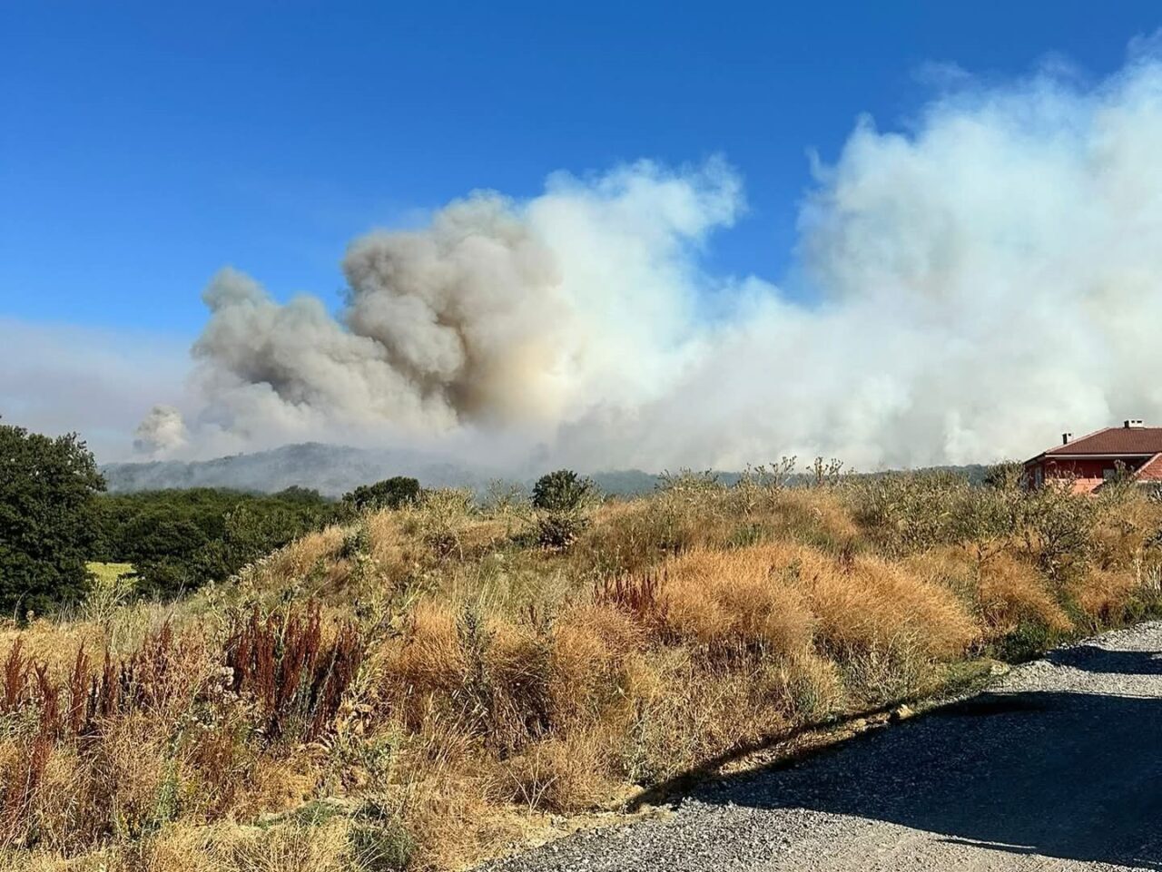 Bilecik’in Pazaryeri ilçesinde buğday tarlasında başlayan ve ormanlık alana sıçrayan