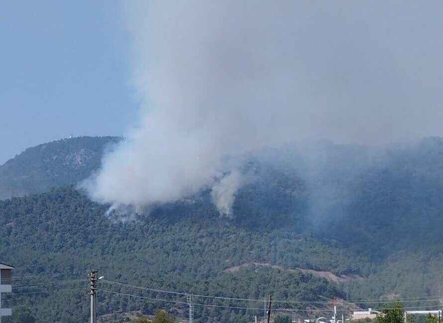 Bilecik’te bugün öğleden sonra yeniden alevlenen orman yangını rüzgarın etkisiyle