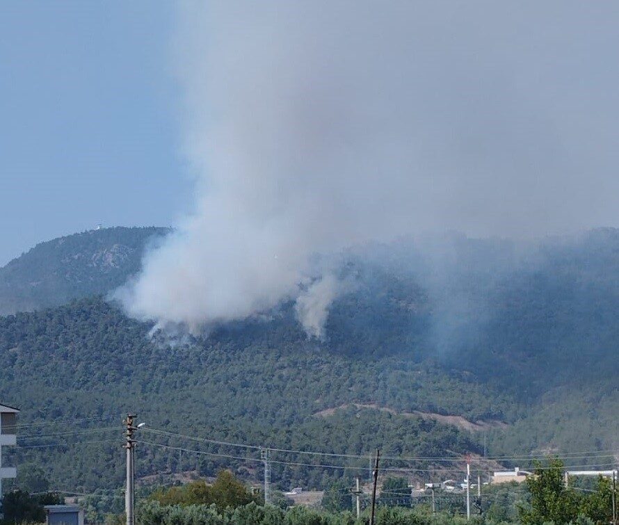 Bilecik’te bugün öğleden sonra yeniden alevlenen orman yangını rüzgarın etkisiyle