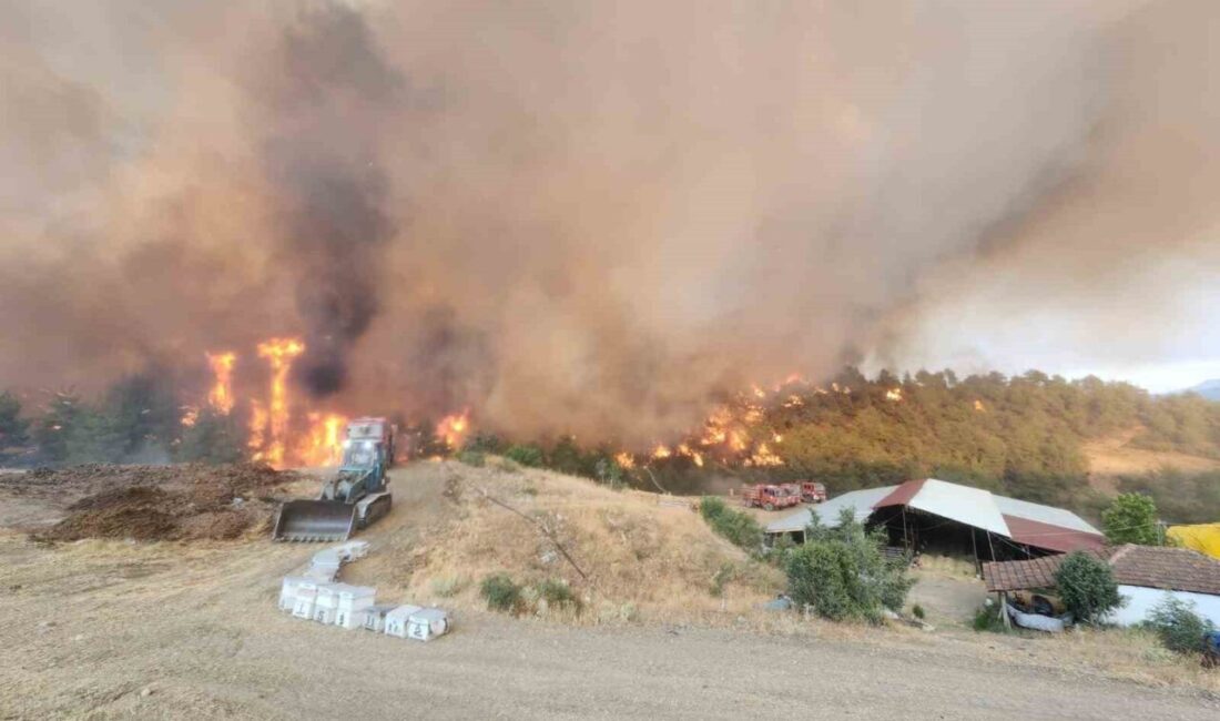 Bilecik’te bugün öğleden sonra yeniden başlayan orman yangınında alevler Kazancı