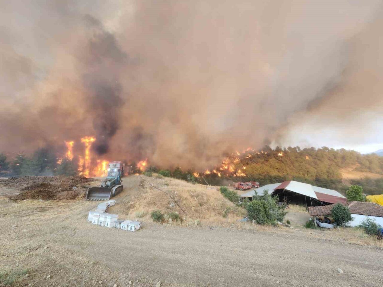 Bilecik’te bugün öğleden sonra yeniden başlayan orman yangınında alevler Kazancı