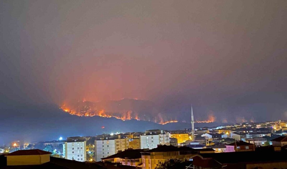 Sakarya’da çıkan ve Bilecik’e sıçrayan orman yangınında ilde boşaltılan köy