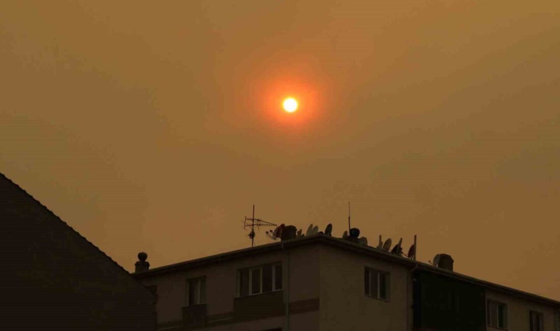 Bilecik’te tarım arazisinde çıkan yangın devam ederken, yangın nedeniyle Eskişehir’de
