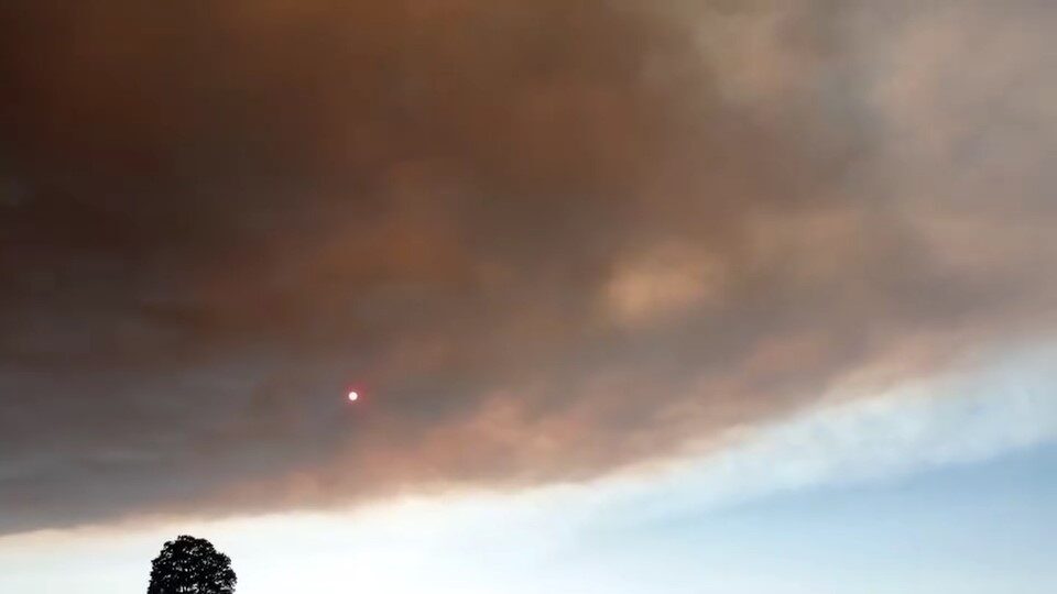 Bilecik’te 4 gün önce çıkan ve sabah saatlerinde kısmen kontrol