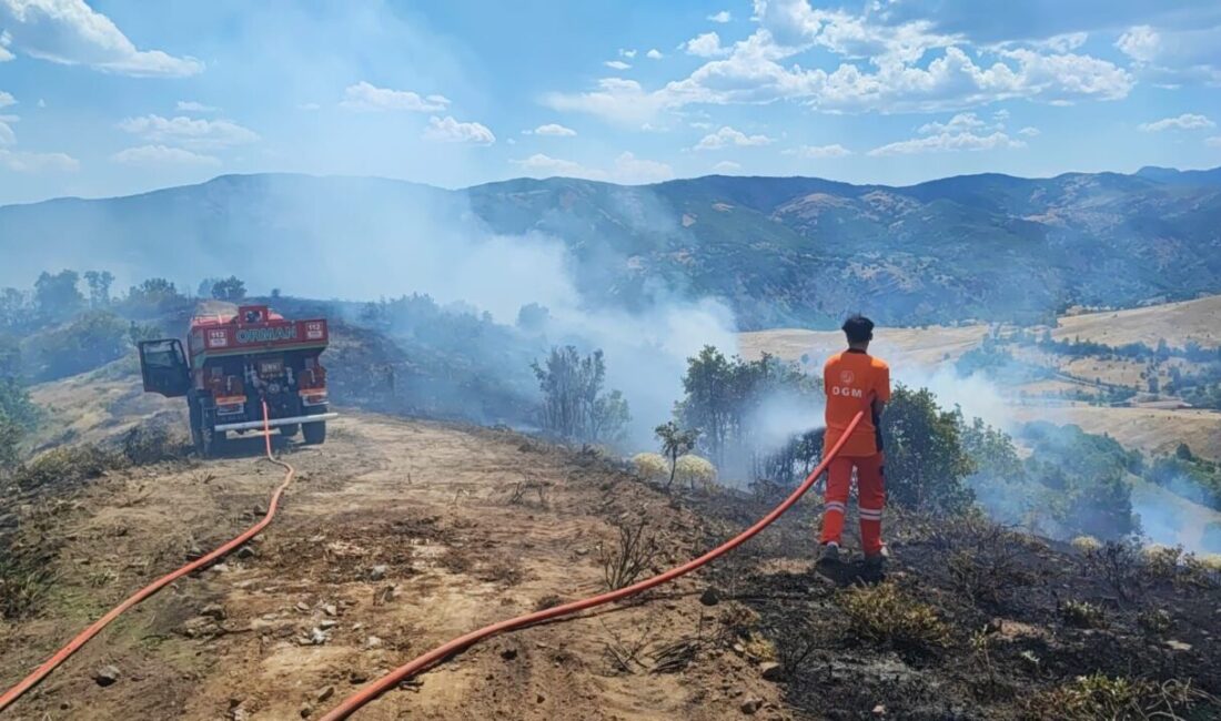 Bingöl Valiliği, orman yangınlarına karşı vatandaşları dikkatli olmaları konusunda uyardı.