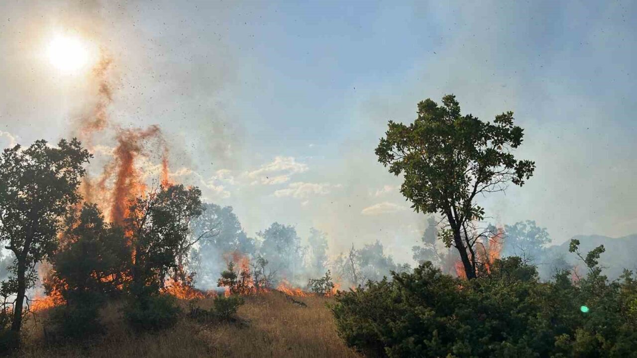 Bingöl merkez ile Genç ve Solhan ilçelerinde çıkan orman yangınları