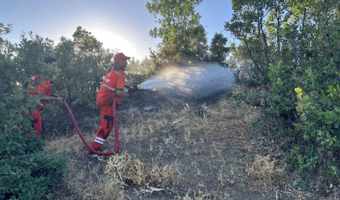 Bingöl’de çıkan orman yangını, ekiplerin müdahalesiyle kontrol altına alındı. Edinilen