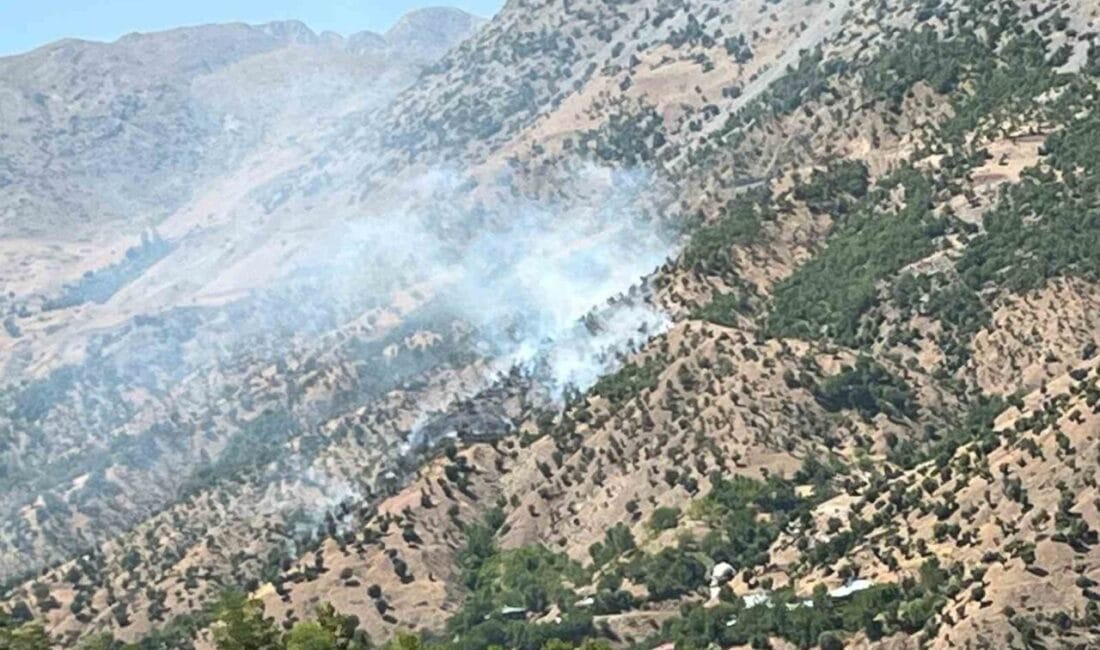 Bingöl’de çıkan orman ve arazi yangınları, ekiplerin müdahalesiyle kontrol altına