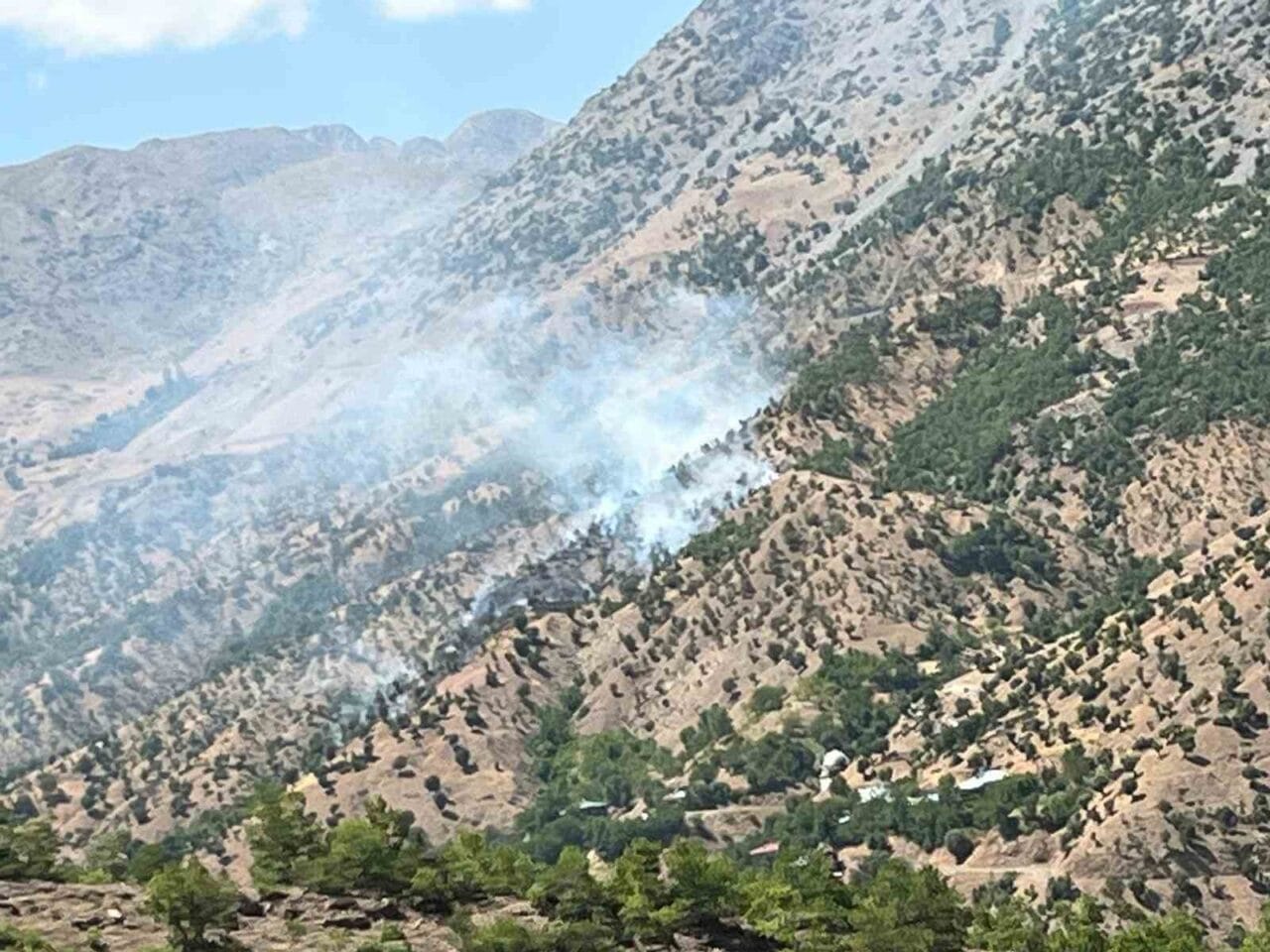 Bingöl’de çıkan orman ve arazi yangınları, ekiplerin müdahalesiyle kontrol altına