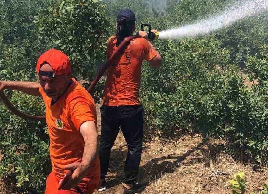 Bingöl’de çıkan orman yangını, ekiplerin müdahalesiyle kontrol altına alındı. Edinilen