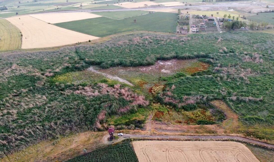 Türkiye’nin önemli sulak alanlarından ve sayılı kuş cennetleri arasında gösterilen
