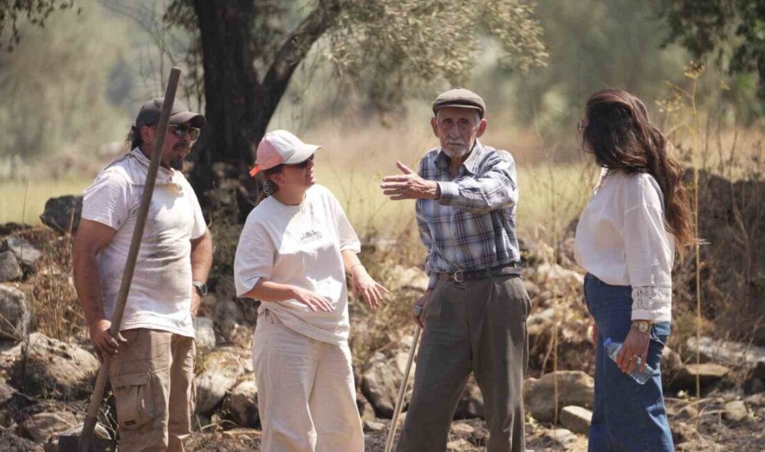 Muğla’nın Yatağan ilçesindeki Stratonikia Antik Kenti içinde etkili olan zirai