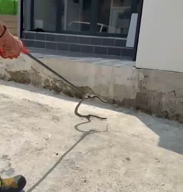 Osmaniye’de bir evin bahçesinde bulunan depoya giren yılanı yakalayan itfaiye