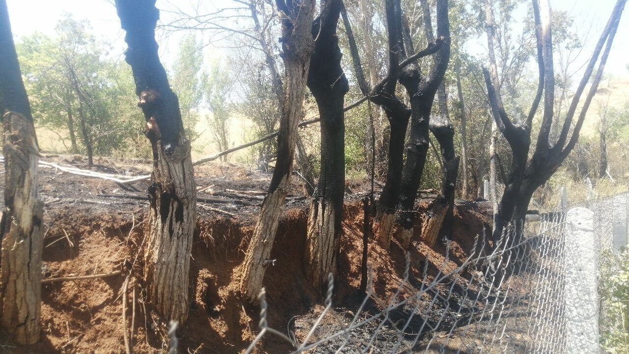 Isparta’nın Yalvaç ilçesine bağlı Hisarardı köyünde bir hobi bahçesinde yakılan