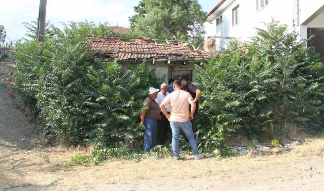 Halk hikayelerinin sevilen kahramanı Keloğlan’ın, Çankırı’daki bir köyde doğduğu ve