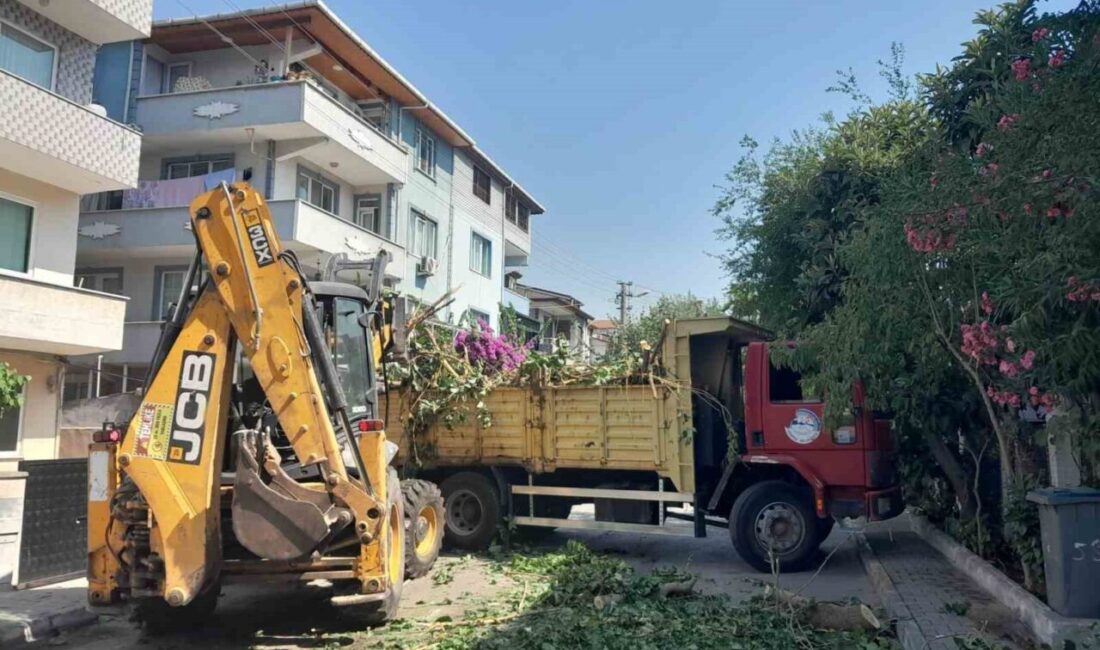 Körfez ilçesinde belediye ekipleri, park ve bahçelerde yapılan budama çalışmalarından