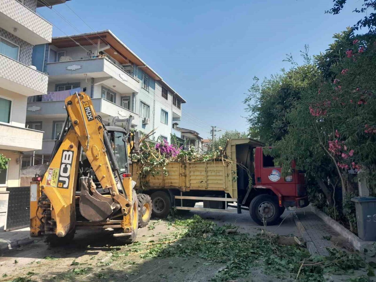 Körfez ilçesinde belediye ekipleri, park ve bahçelerde yapılan budama çalışmalarından