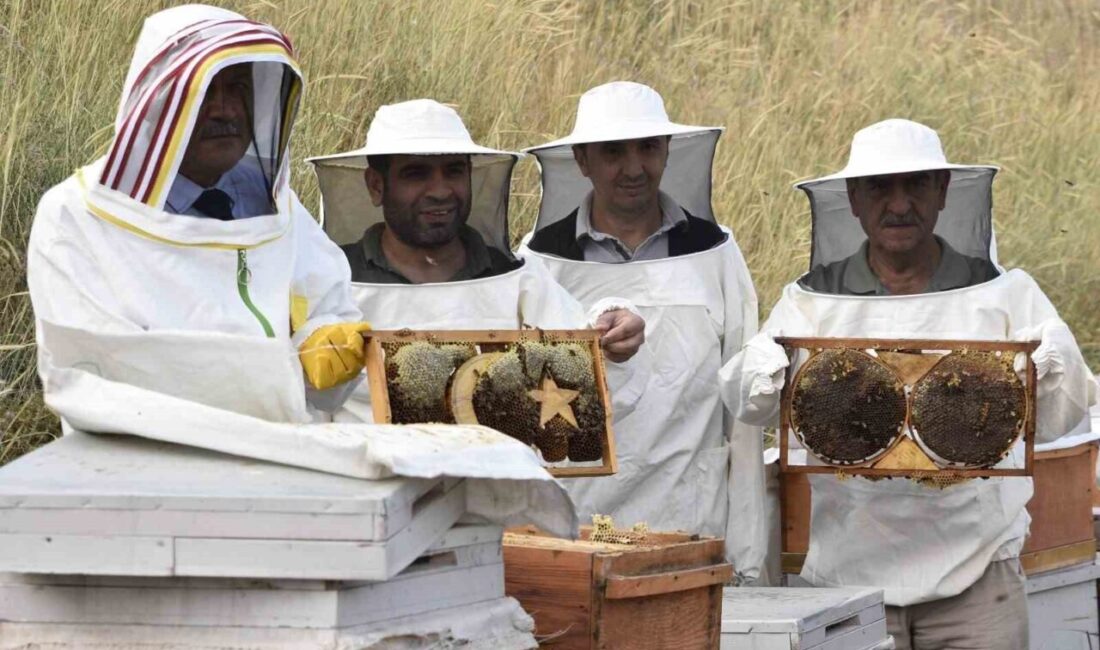 Bitlis Eren Üniversitesinin (BEÜ) Rahva yerleşkesinde 4 yıl önce birkaç
