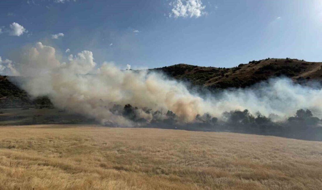 Bitlis’in Güroymak ilçesinde bir buğday tarlasında çıkan yangın büyümeden söndürüldü.