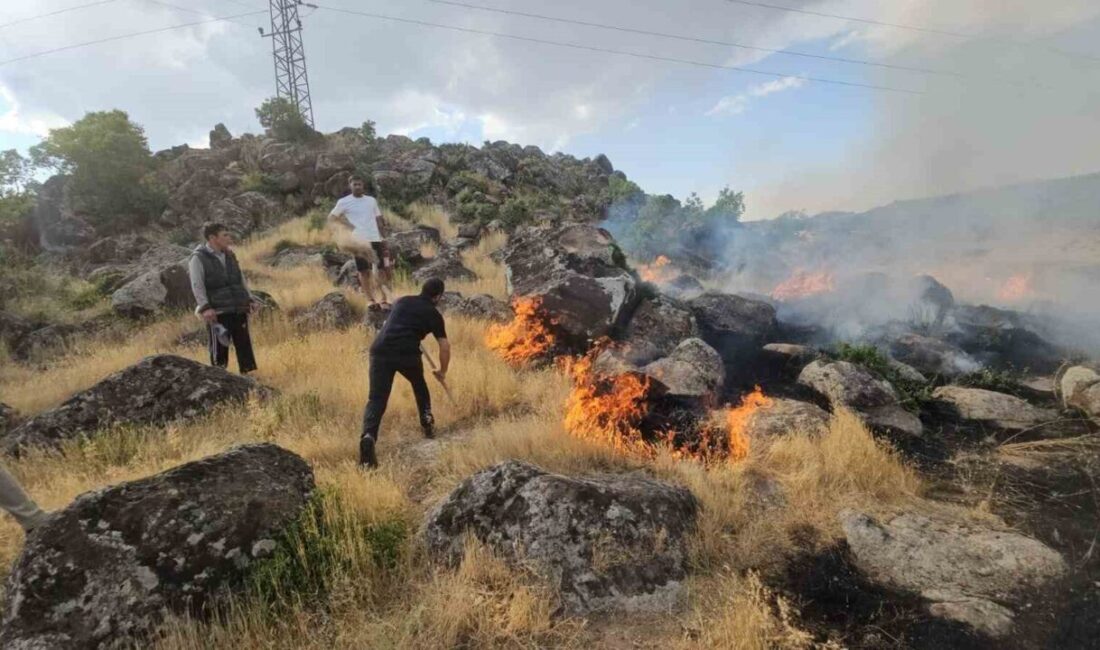 Bitlis’in Adilcevaz ilçesine bağlı Aydınlar beldesinde çıkan örtü yangını, kısa