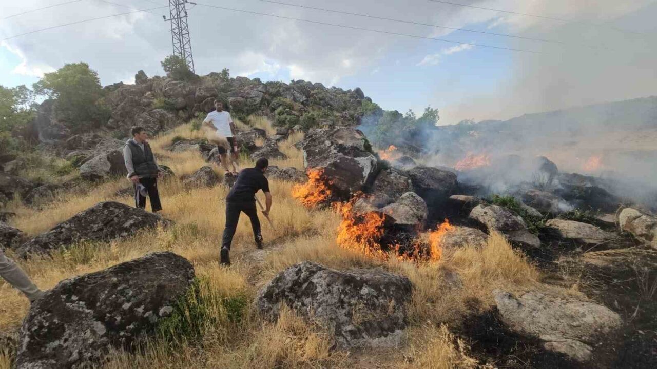Bitlis’in Adilcevaz ilçesine bağlı Aydınlar beldesinde çıkan örtü yangını, kısa