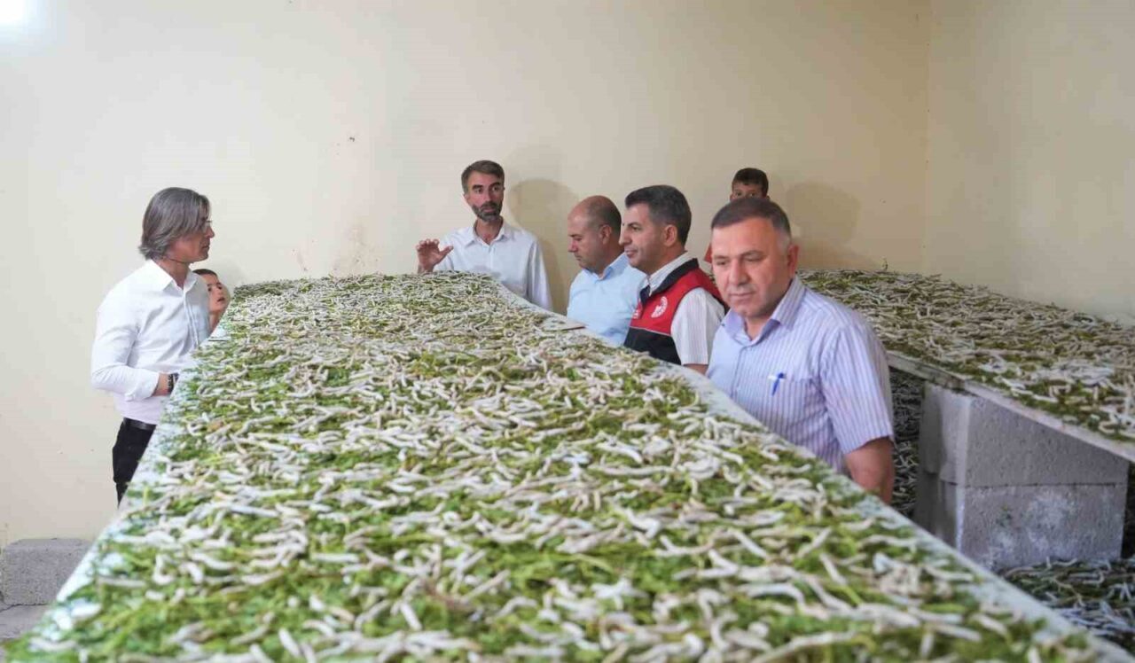 Muş’un Akpınar köyünde yaşayan çiftçi Halil Koç, çevresindekilerin “Böcekle mi