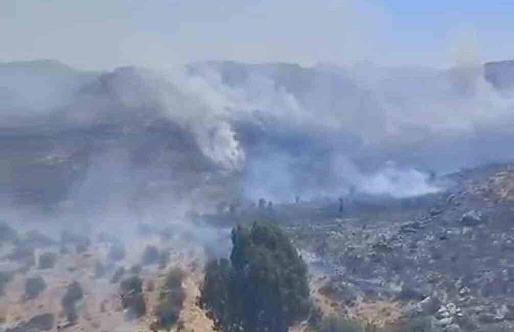 Muğla’nın Bodrum ilçesinde otluk alanda çıkan yangın, ekiplerin zamanında müdahalesiyle