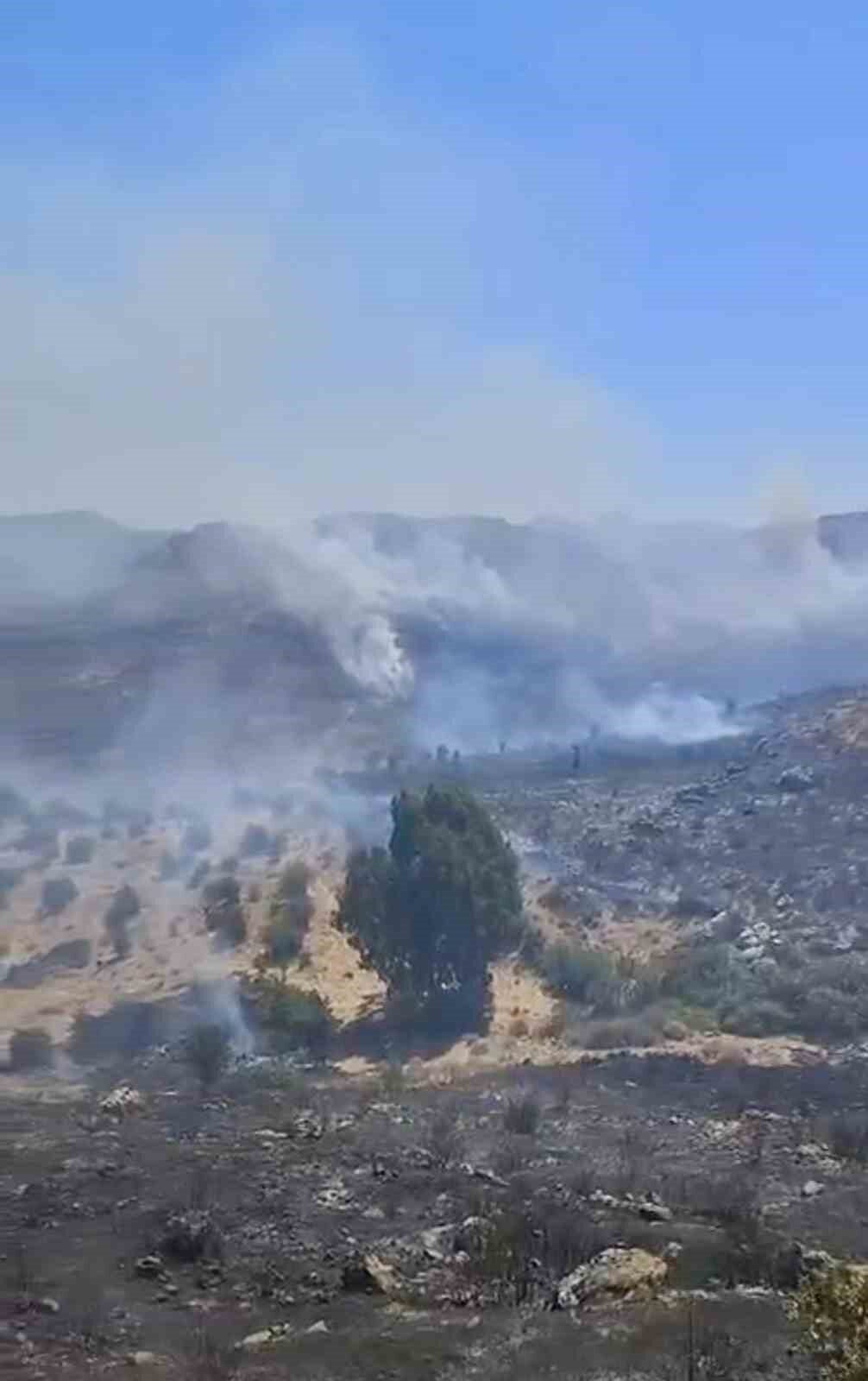 Muğla’nın Bodrum ilçesinde otluk alanda çıkan yangın, ekiplerin zamanında müdahalesiyle