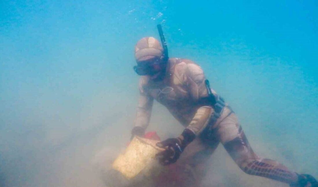 Bodrum Belediyesi tarafından “Denize En Çok Mavi Yakışır” sloganıyla on