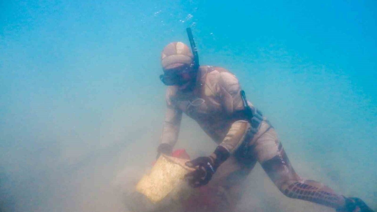 Bodrum Belediyesi tarafından “Denize En Çok Mavi Yakışır” sloganıyla on