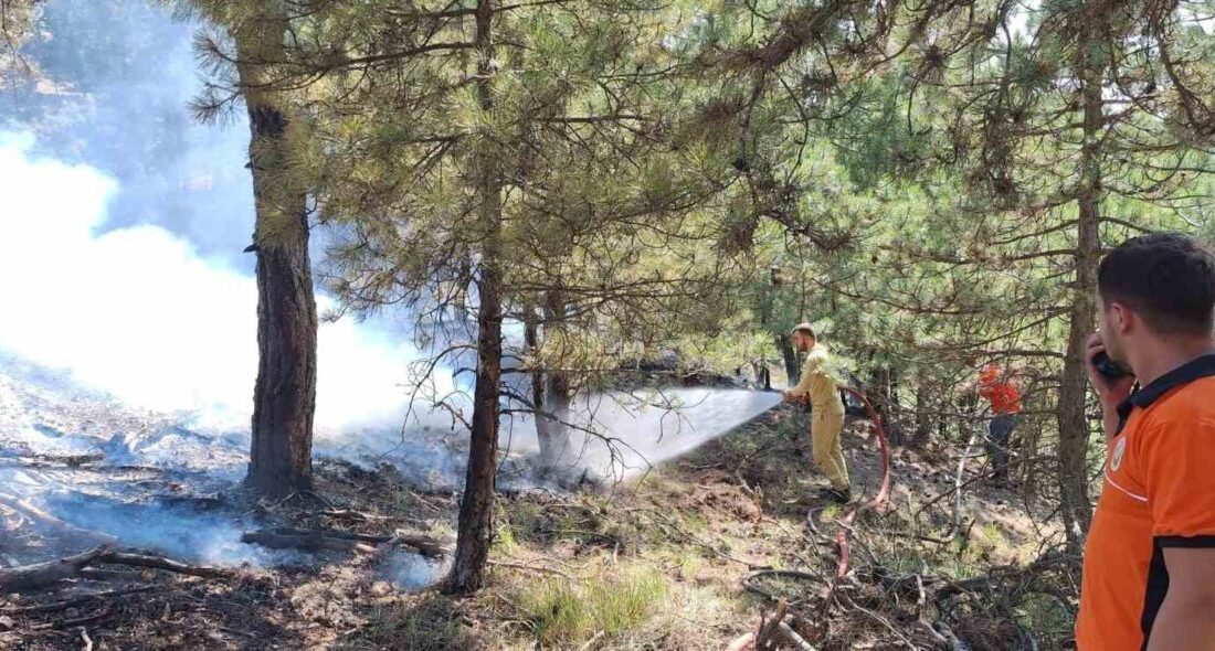 Bolu’nun Göynük ilçesinde sarp arazide çıkan orman yangını, ekiplerin yoğun
