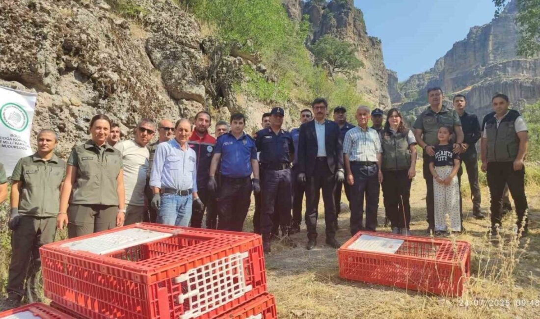 Tarım ve Orman Bakanlığı 9. Bölge Müdürlüğü Bolu Doğa Koruma