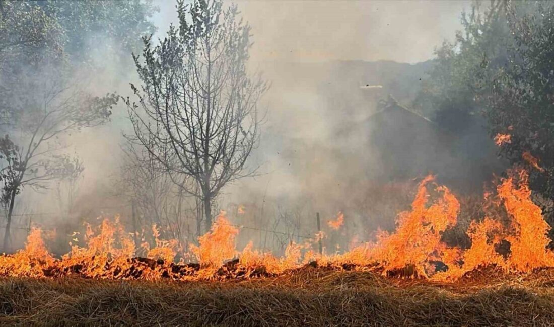 Bolu’da Vakıfgeçitveren köyünde evlerin dibinde bulunan tarım arazisinde anız yangını
