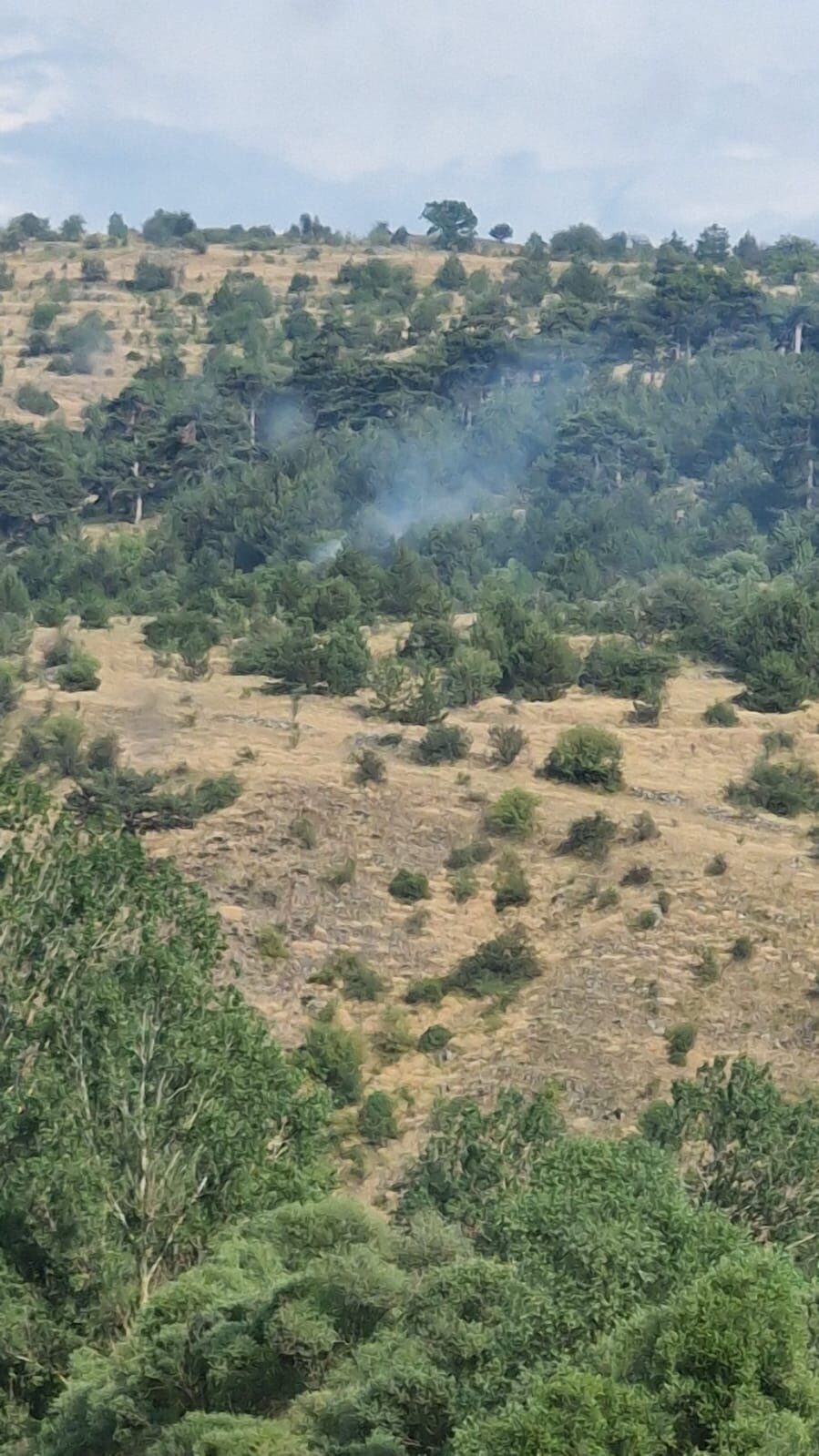 Bolu’nun Seben ve Gerede ilçelerinde yıldırım düşmesi sonucu çıkan iki